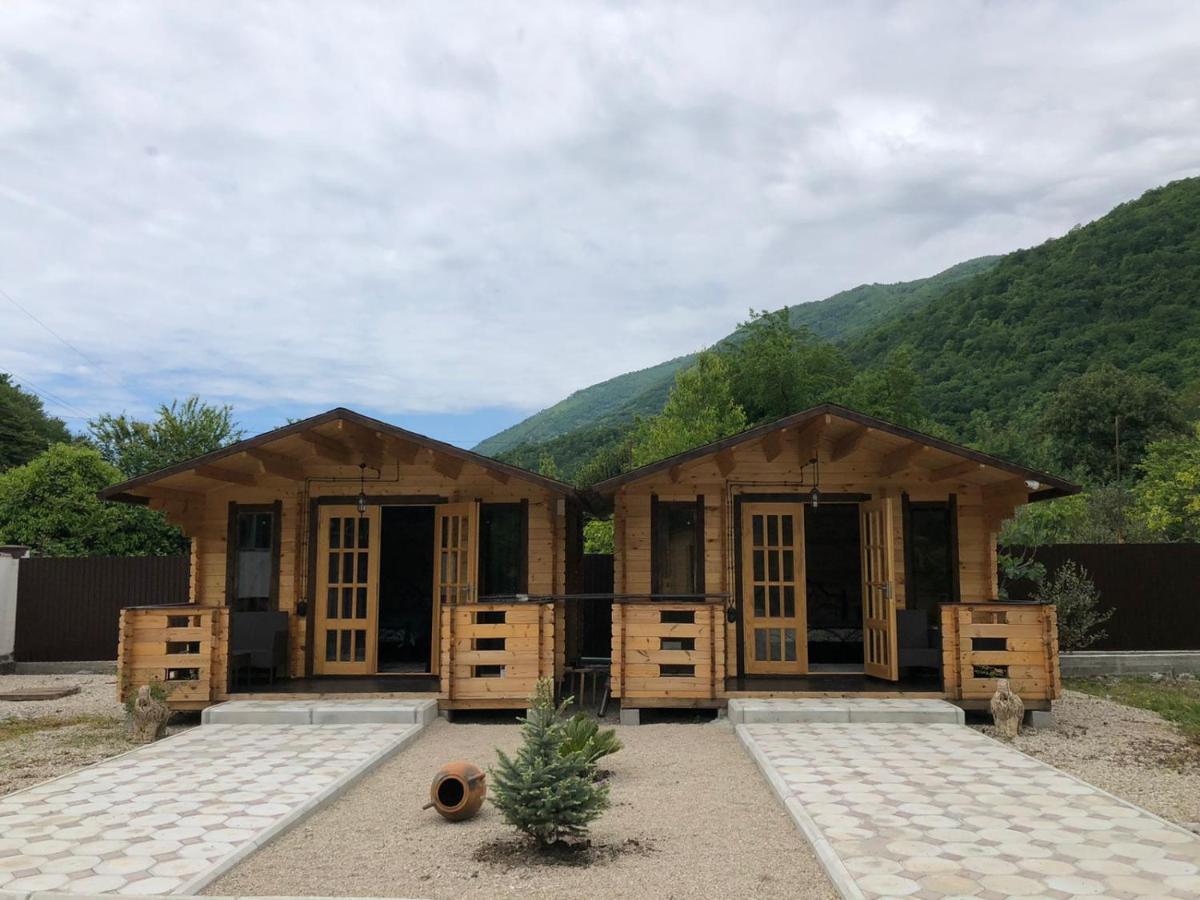 Olginka Villa Gagra Luaran gambar