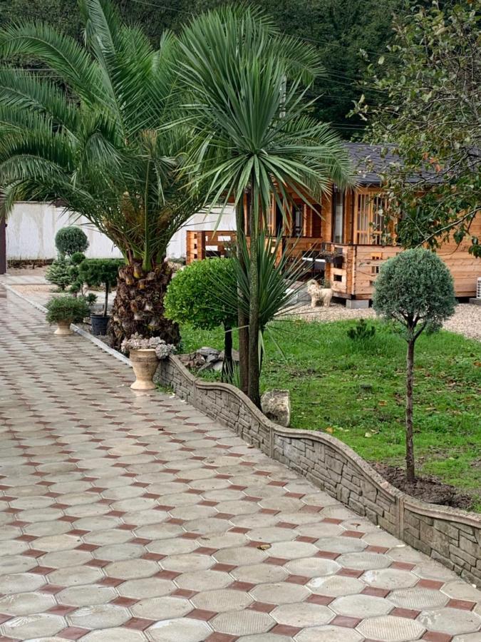 Olginka Villa Gagra Luaran gambar