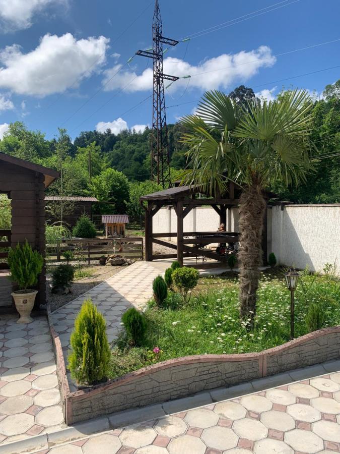Olginka Villa Gagra Luaran gambar