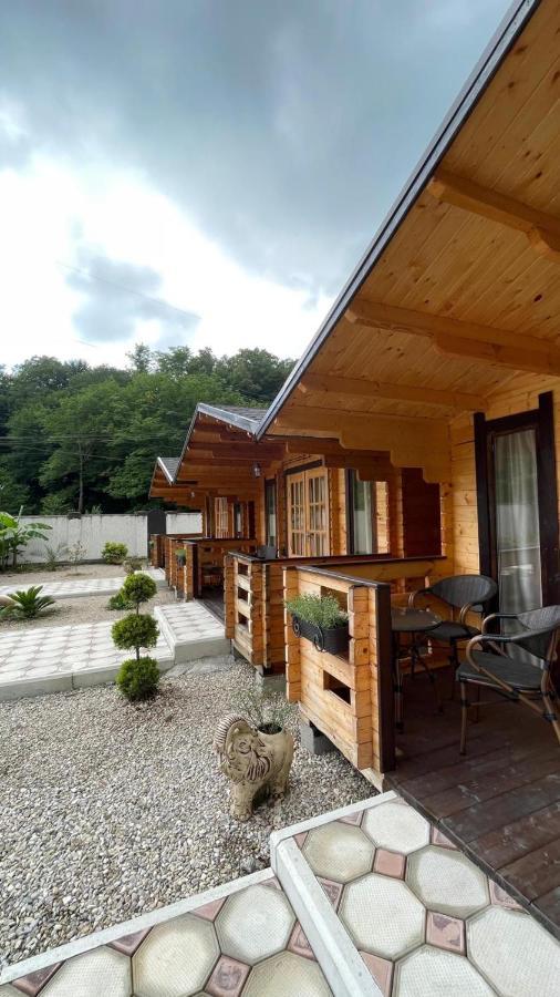 Olginka Villa Gagra Luaran gambar
