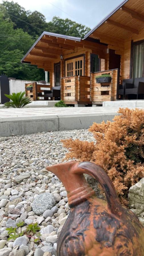 Olginka Villa Gagra Luaran gambar