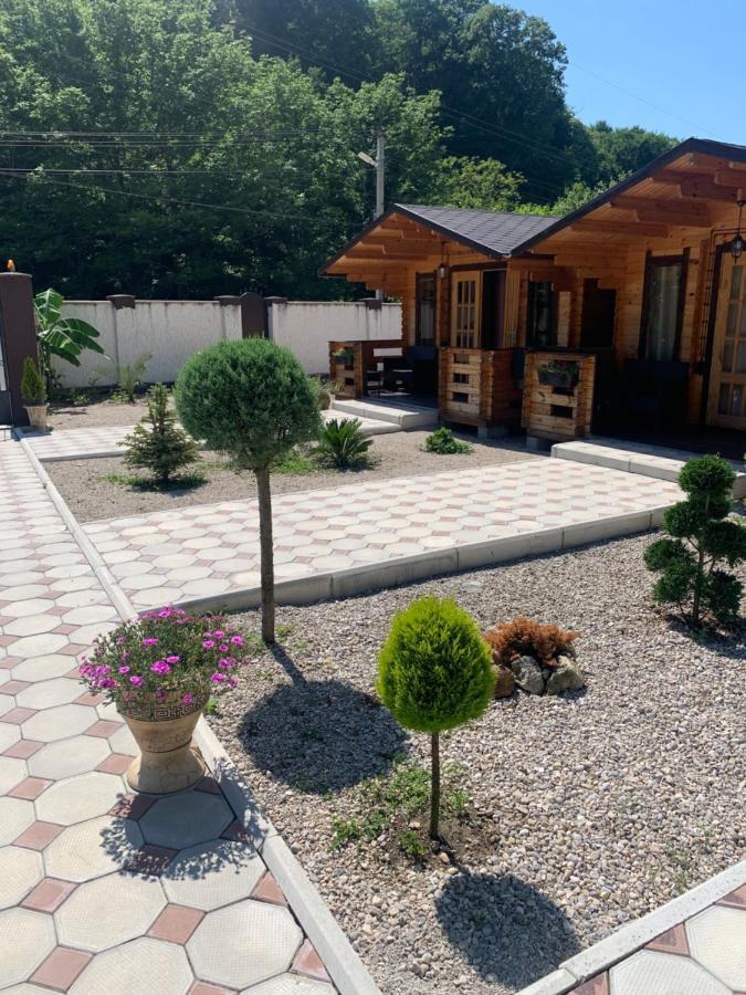 Olginka Villa Gagra Luaran gambar